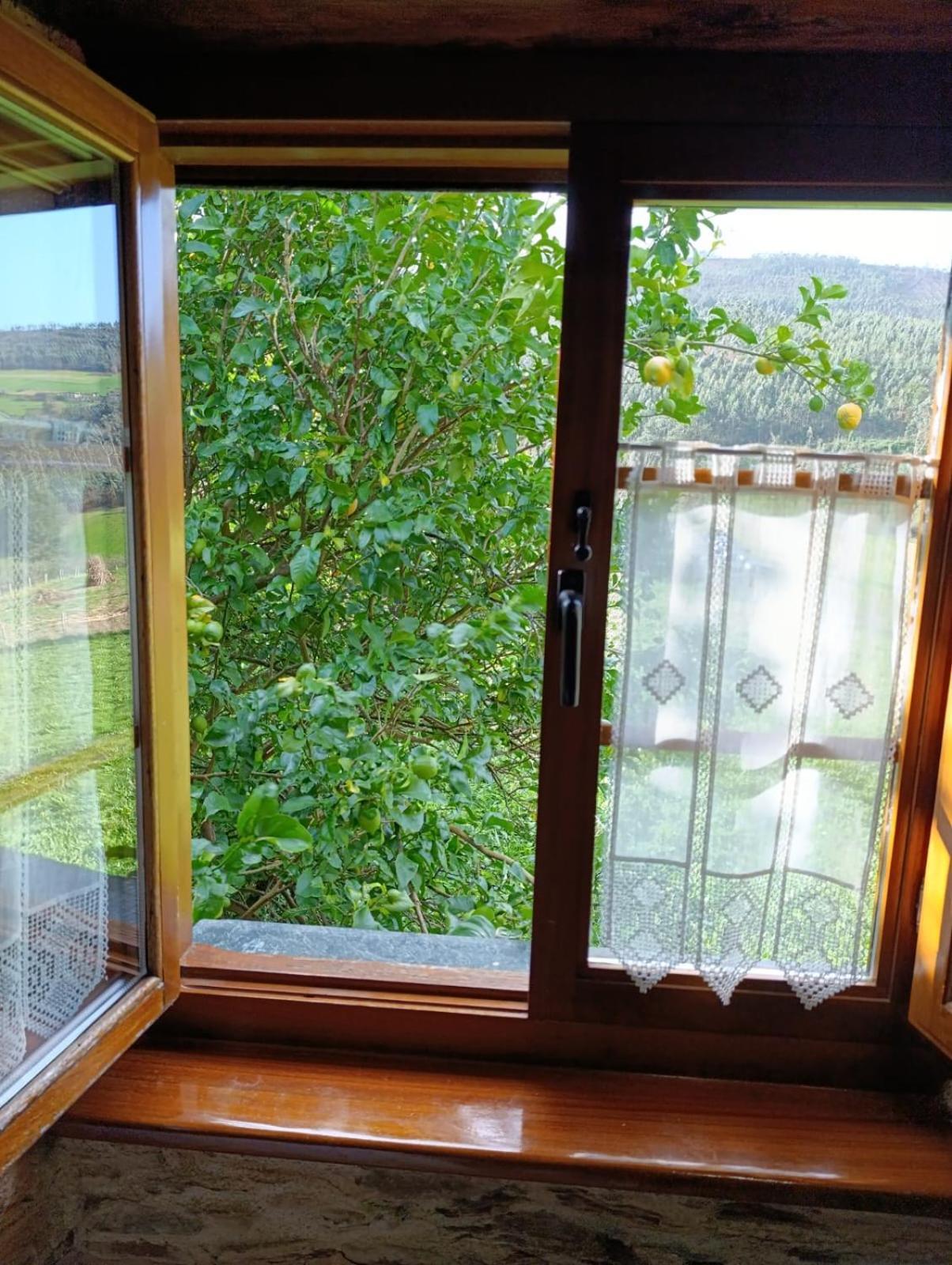 Apartamentos Rio Eo San Tirso de Abres エクステリア 写真